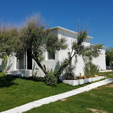 Lilium Rooms 酒店 *