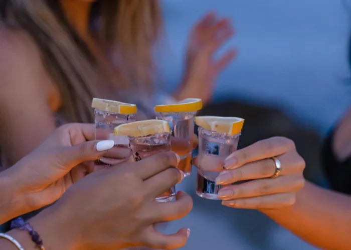 Lilium Rooms 酒店 *