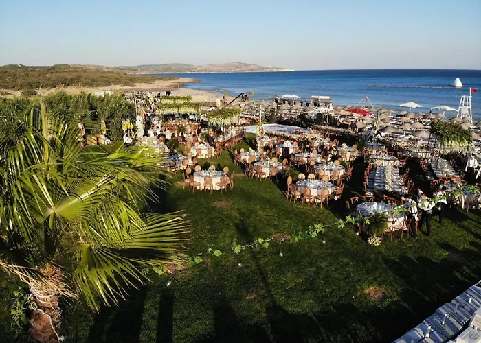 Lilium Rooms 酒店 *